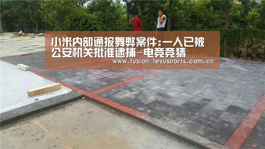 小米内部通报舞弊案件:一人已被公安机关批准逮捕-电竞竞猜(图2) 乐鱼体育官方平台