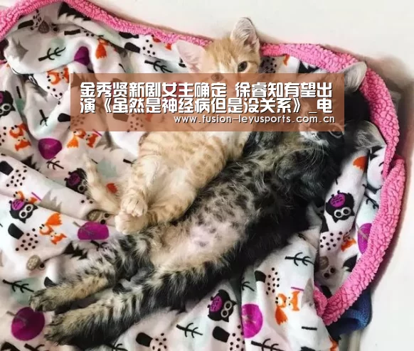 金秀贤新剧女主确定 徐睿知有望出演《虽然是神经病但是没关系》_电竞竞猜(图1) leyu官网