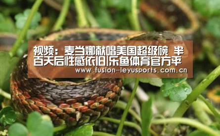 视频:麦当娜献唱美国超级碗 半百天后性感依旧|乐鱼体育官方平台(图4) 电竞竞猜