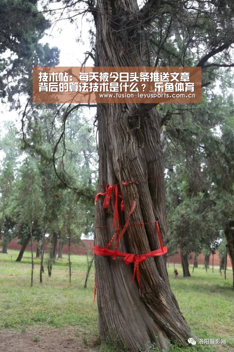 技术帖:每天被今日头条推送文章背后的算法技术是什么?_乐鱼体育官方平台(图1) leyu平台